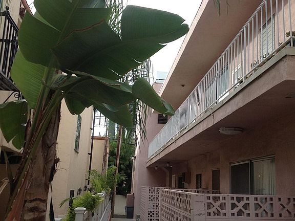 3rd image of 1125 Rexford Dr APT 6
