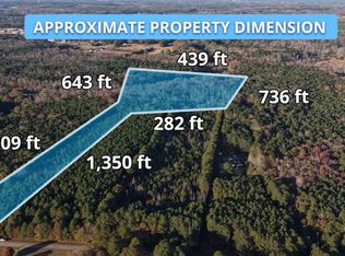 LOT 1 S Hampton Rd, Hampton, GA 30228