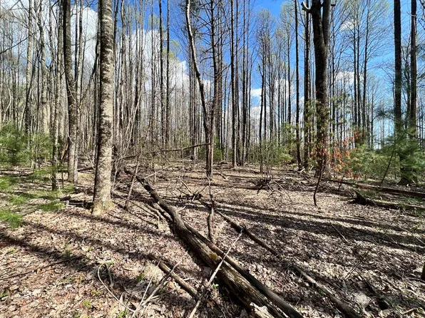 Tbd Little Bit Rd, Laurel Fork, VA 24352
