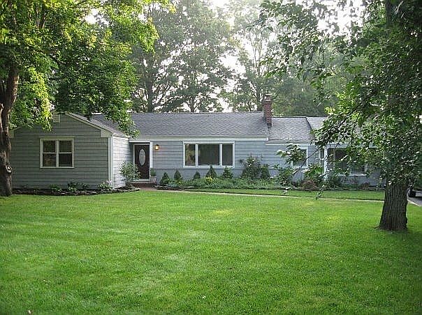 Beautiful Mature Trees 