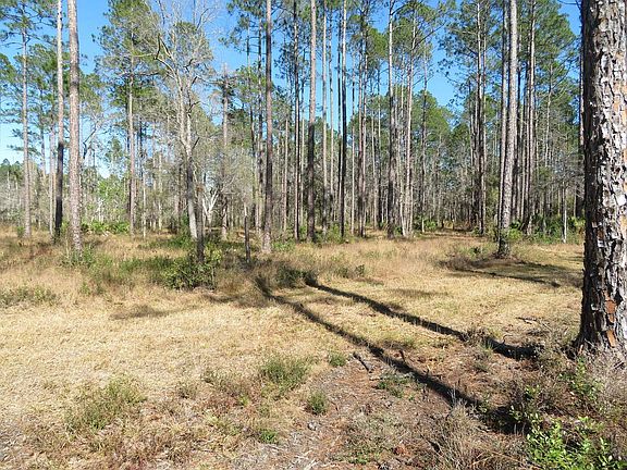 5th image of Lighthouse Rd