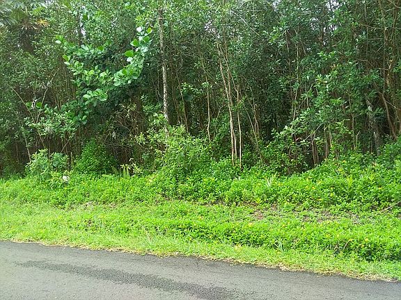 4th image of 31st Ave Lot 64