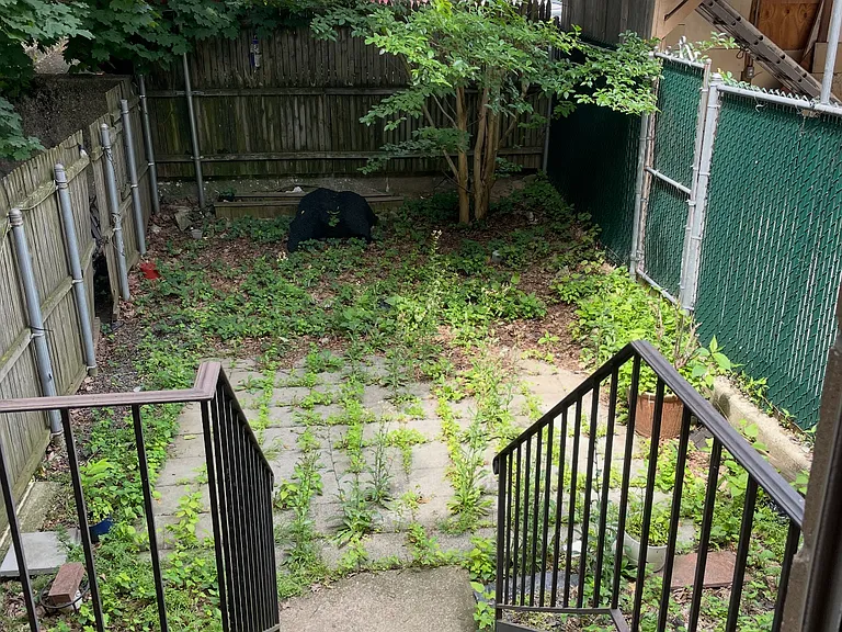 38 Sherman Ave #1 — Photo 8