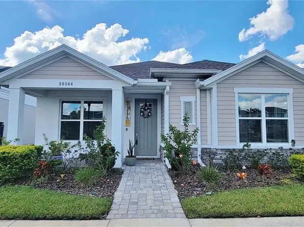 28564 Sweet Persimmon Dr, Wesley Chapel, FL 33543