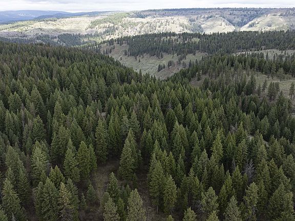 2nd image of 0 Yarrington Rd