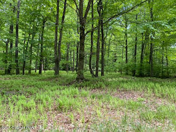 903 W Wadi Rd, Pocono Lake, PA 18347