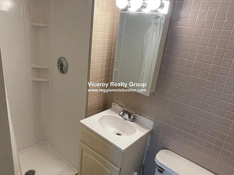 381 Dorchester St #1AV — Photo 9