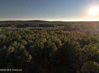 County Road 2414, Louin, MS 39338