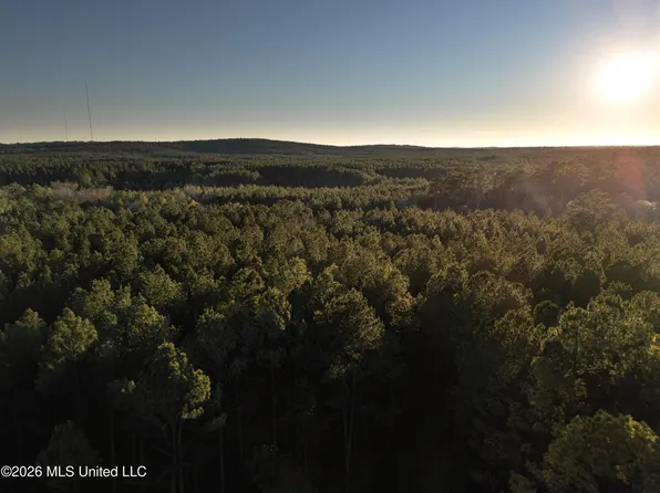 County Road 2414, Louin, MS 39338