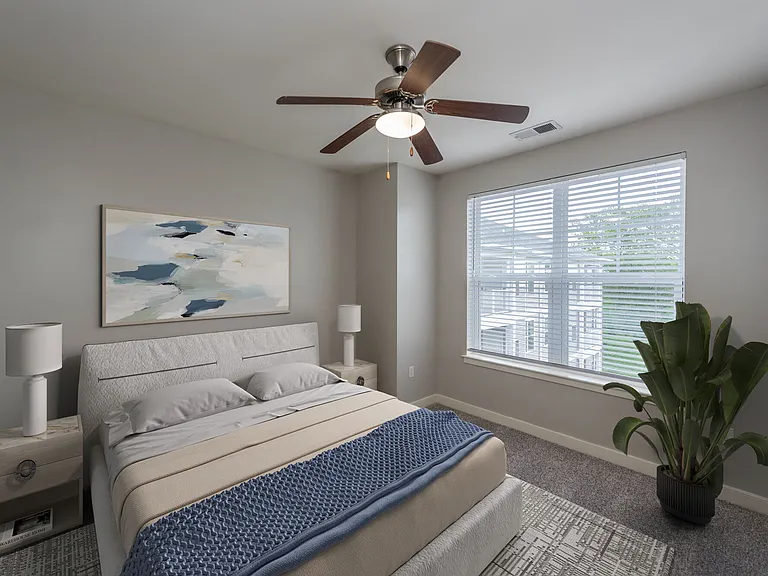 Solace Apartments — Photo 9