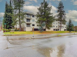 18 King George St N #206, Lake Cowichan, BC V0R 2G0