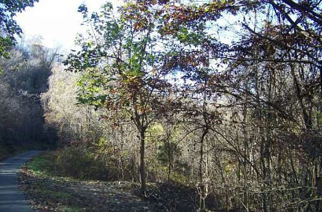 2nd image of 14 Brasstown Vw #16