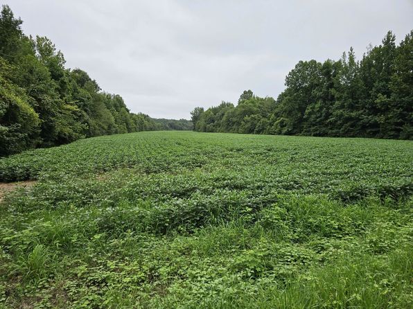 Highway 125, Henderson, TN 38340