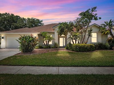 2323 Eagle Bluff Dr, Valrico, FL, 33596