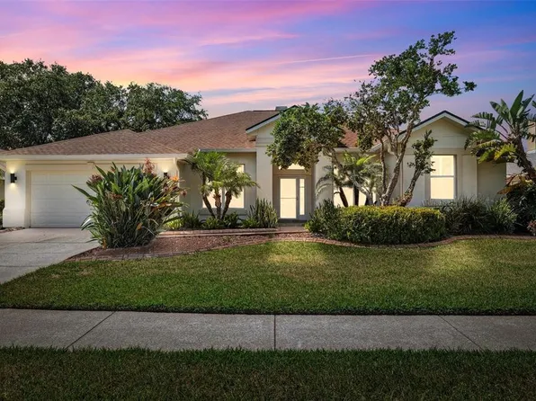 2323 Eagle Bluff Dr, Valrico, FL 33596