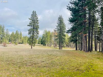 Orchard Heights Rd Lot 1, Goldendale, WA, 98620
