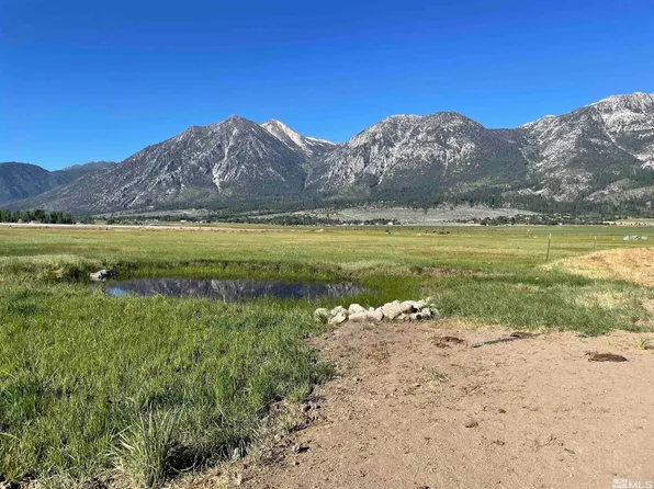 1175 Mottsville Meadows Way, Gardnerville, NV 89460