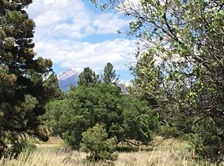 354 Domicile Cir, Pagosa Springs, CO 81147