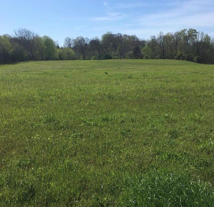 2nd image of Whites Bend Lane #16.38 Ac