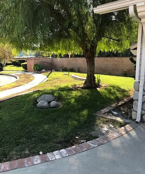 Side Yard