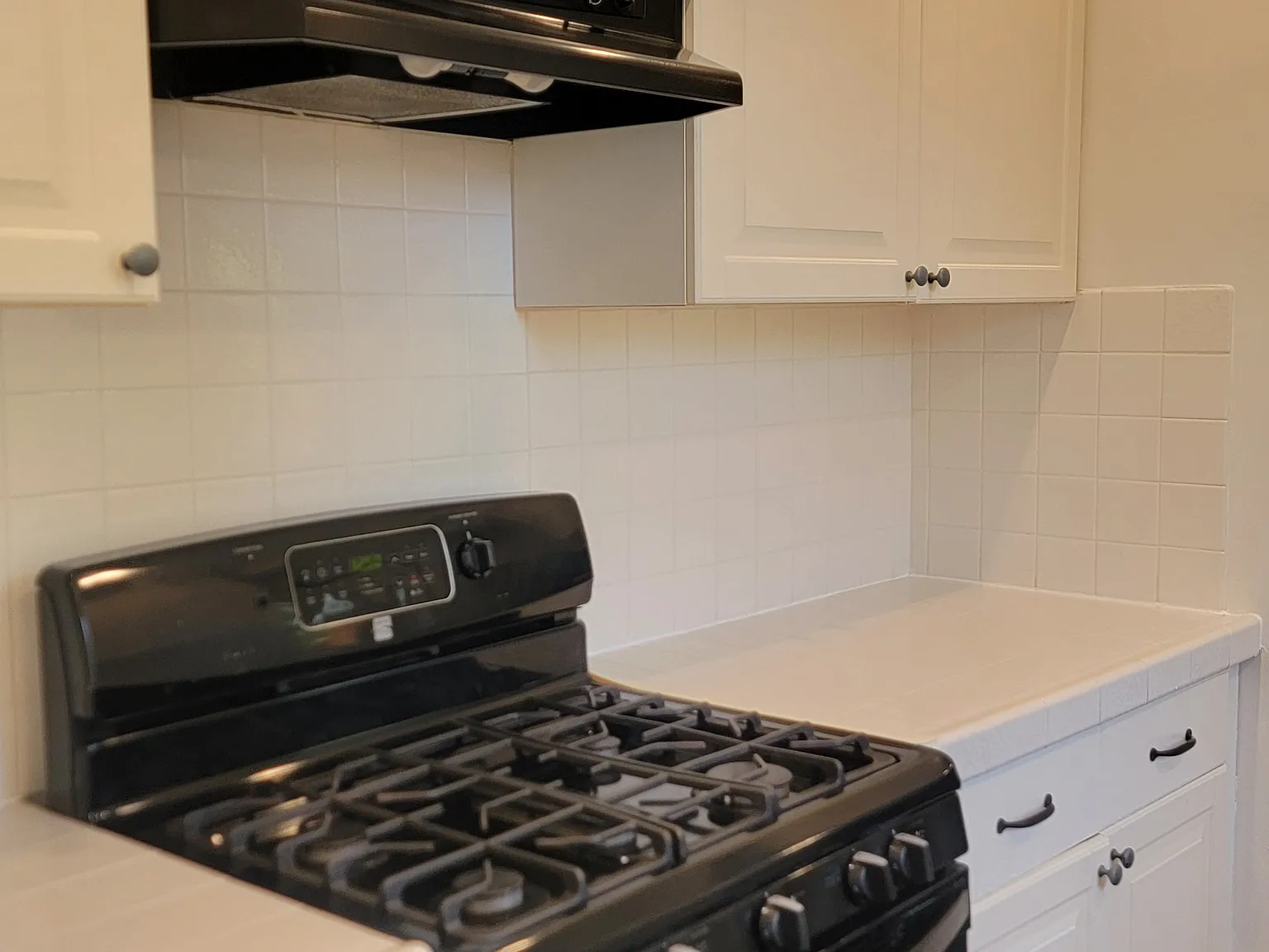 2 bed, 1284 sqft, $4,500 — Photo 4