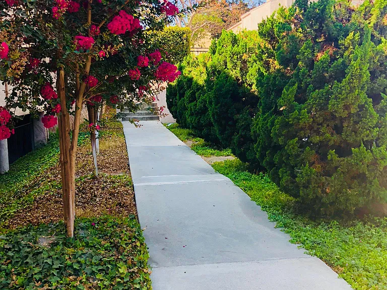 Pathways