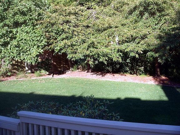 The greenbelt in the backyard