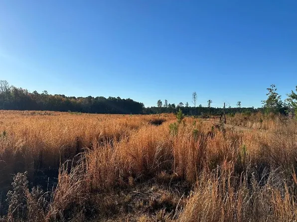 229 Highway, Traskwood, AR 72167