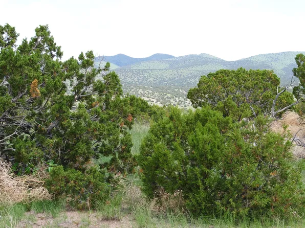 67 Pinon Springs Rd, Magdalena, NM 87825