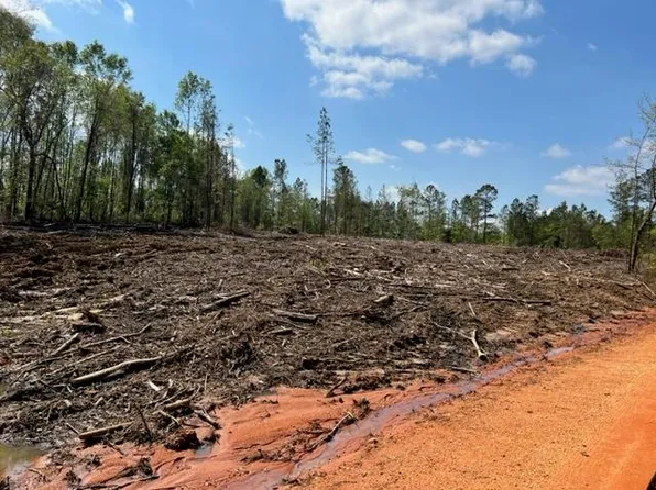 Tag Rd, Monroeville, AL 36460