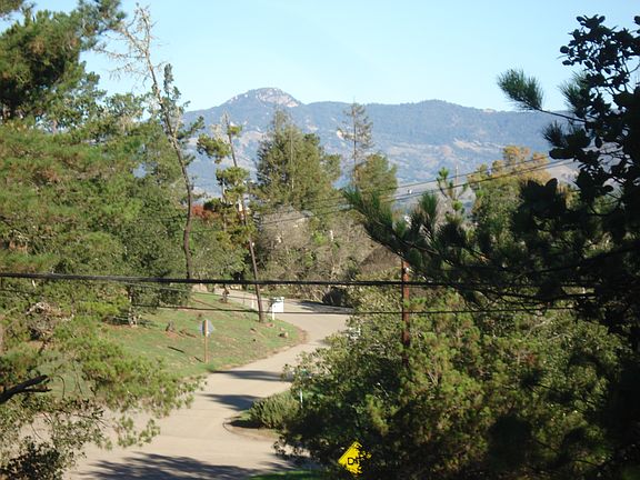2nd image of 1455 Pineridge Dr