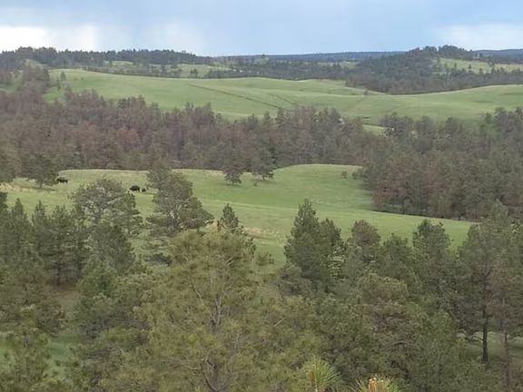 Scenic view from property