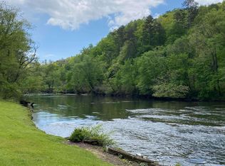 401 N Toccoa River Rd, Mineral bluff, GA 30559