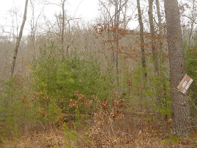 2nd image of Lt 5 Birchwood Trails