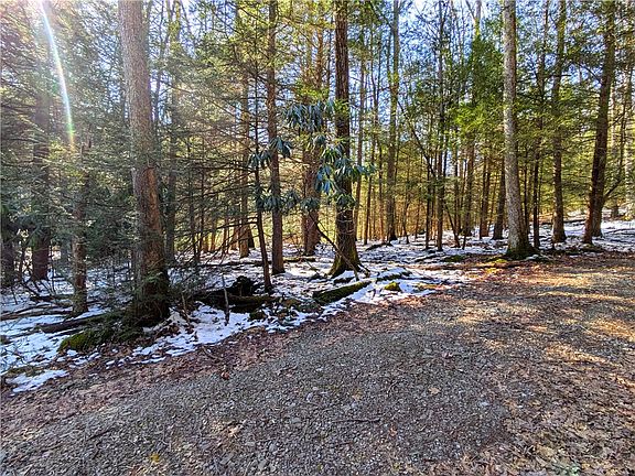 4th image of 160 Mill Run School Rd