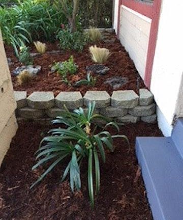 Front yard from front steps