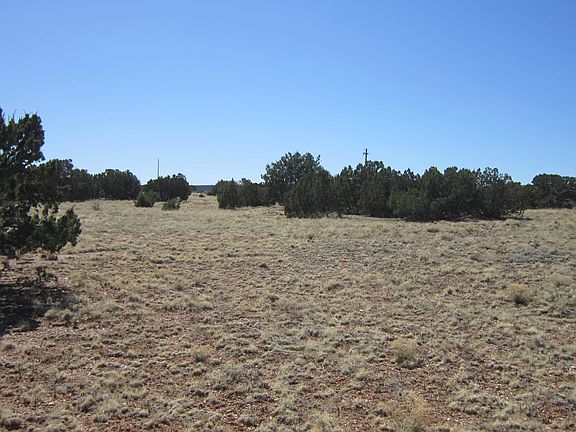 5th image of 4473 Bunkhouse Rd