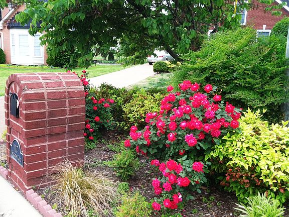 Beautifuly Landscaped