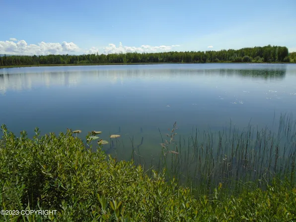 Mile 79, Willow, AK 99688