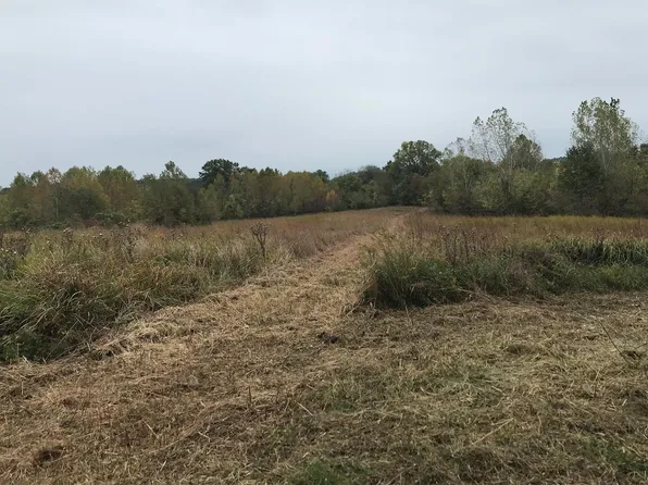 8203 State Hwy E Lot 5, Jackson, MO 63755