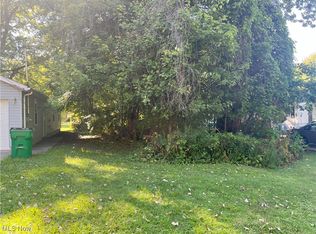 Bellevue Ave, Painesville, OH