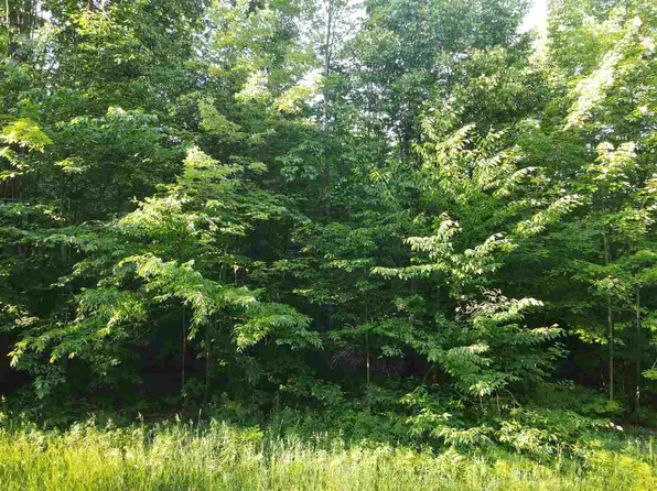 Montrose Dr Lot 97, Mancelona, MI 49659