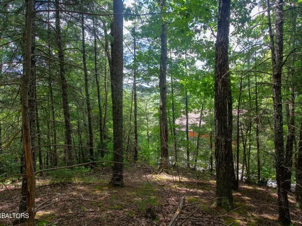 13 High Top Loop Lot 13, Sevierville, TN 37862