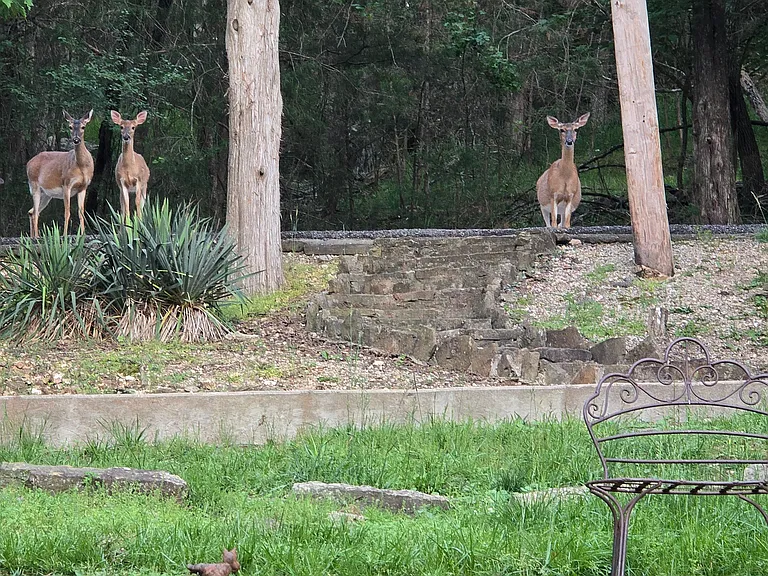 Our neighbors.