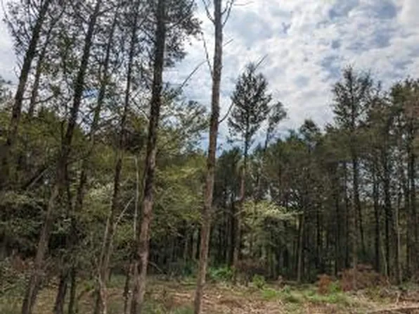 26A Shelby Ln, Cecil, AR 72930