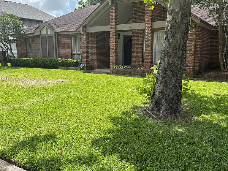 806 Buckingham Dr — Photo 4