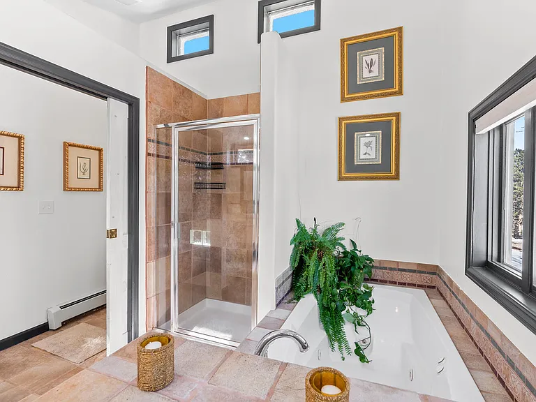 Shower & Jacuzzi Tub