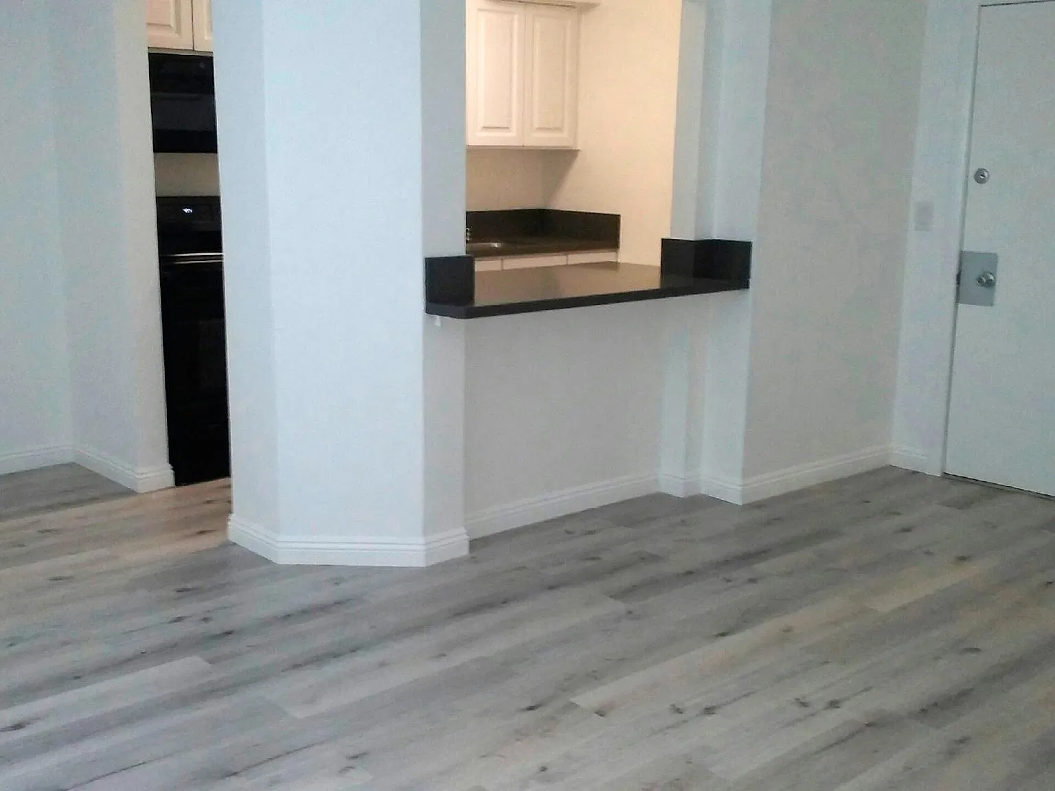 1 bed, 750 sqft, $2,595 — Photo 2