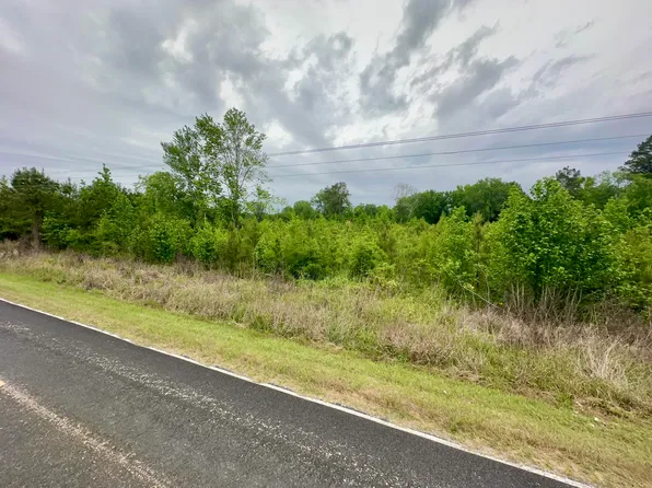Chewning Rd, Pinewood, SC 29125