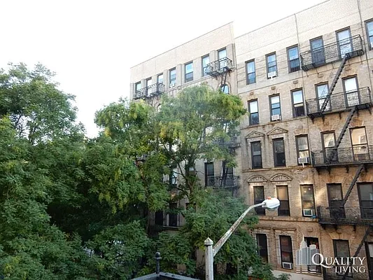 Rented by Quality Living Realty | media 61